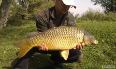 kapor 77 cm