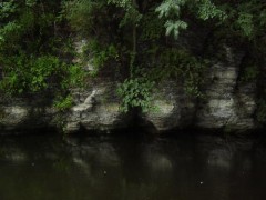 Kliknutím fotografii zvětšíte D.Orlice