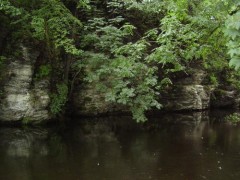 Kliknutím fotografii zvětšíte D.Orlice II