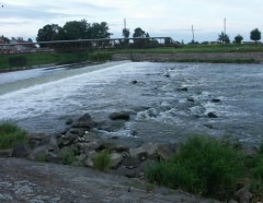 splav