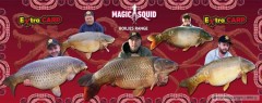 Kliknutím fotografii zvětšíte Banner Magic Squid-Extra Carp