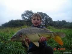 Lysec 55cm