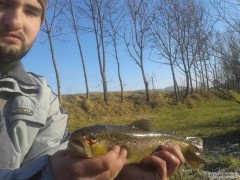 Pstrou�ek chycen� na twistra :) odevzd�n vod�.