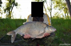 Kliknutím fotografii zvětšíte 60