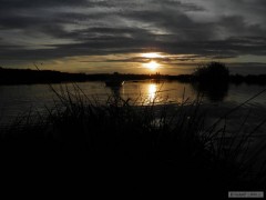 Kliknutím fotografii zvětšíte Zavážení
