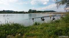 Kliknutím fotografii zvětšíte olesna 2014