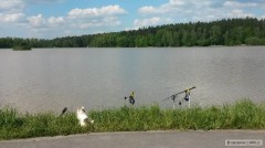 Kliknutím fotografii zvětšíte