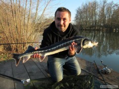 Kliknutím fotografii zvětšíte Jeseter 99 cm 2