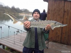 soukrom� rev�r jeseter 112cm.