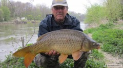 Kliknutím fotografii zvětšíte Kapor 60 CM 5,40KG Morava.