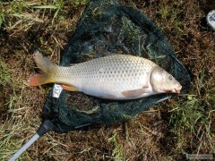 Kliknutím fotografii zvětšíte Lipno 2014