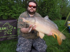 Kliknutím fotografii zvětšíte wild carp team