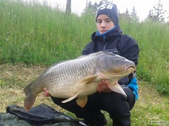 kapr 14.06 kg
