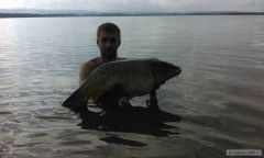 Kapr 83cm - 10kg - sezona 2014