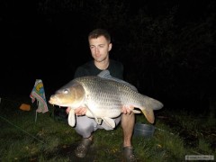 Kapr 80cm, 11kg