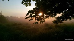 Kliknutím fotografii zvětšíte Krásné ráno.