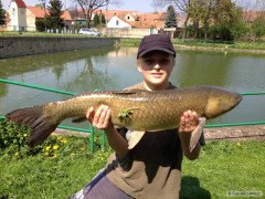 Syn a amur