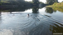 Kliknutím fotografii zvětšíte Tak plav kamaráde