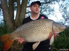 Kliknutím fotografii zvětšíte Compot N.H.D.C v akci :-) 16 kg- 90 cm