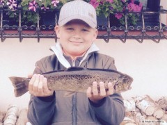 Kliknutím fotografii zvětšíte Potočak 45 cm