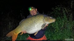 Kliknutím fotografii zvětšíte 17,20 kg