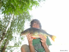 Okoun z p�skovny