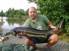Kliknutím fotografii zvětšíte Jeseter 124cm.uloven na retro výbavu / prut Tokoz Otava+navi Tokoz Silurus