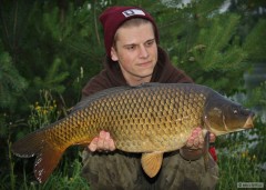 Dark common