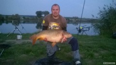Kliknutím fotografii zvětšíte KAPR 90CM, 17.45KG.