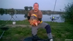 Kliknutím fotografii zvětšíte KAPR 90CM, 17.45KG.
