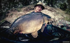 Kliknutím fotografii zvětšíte Sluníčko