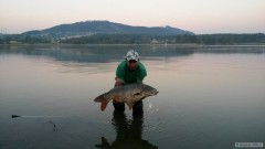 Kliknutím fotografii zvětšíte lysec 14 kg