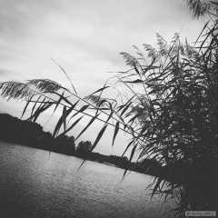 Kliknutím fotografii zvětšíte