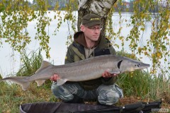 Jes 125cm 14kg