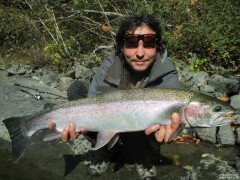 Kliknutím fotografii zvětšíte Steelhead