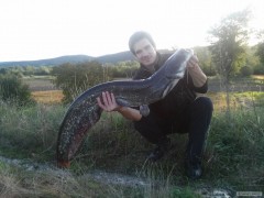 Sumec 120cm 