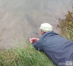 Kliknutím fotografii zvětšíte