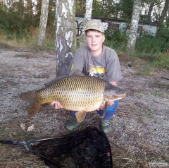 Kliknutím fotografii zvětšíte Kapr 80cm 16,50kg