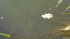 Kliknutím fotografii zvětšíte
