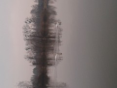 Kliknutím fotografii zvětšíte