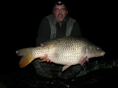 Kliknutím fotografii zvětšíte Kapr 8 kg
