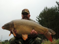 Kliknutím fotografii zvětšíte Kapr 7,5 kg