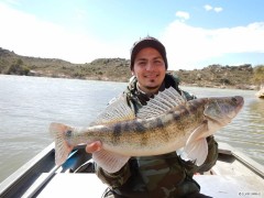 rio ebro - jaro 2016 - osob��ek