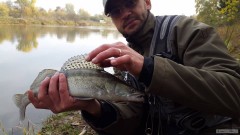 Kliknutím fotografii zvětšíte Přívlač 2015