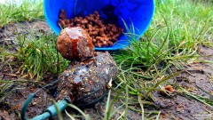 Method krm�tko s n�vnadou Tim�r Carp + Trapper jezero, pod h��kem boilie V�clav�k s p��chut� Carp Nectar, obalen� v obalova�ce stejn� p��chut� :)