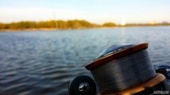 Kliknutím fotografii zvětšíte Relax