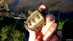 Kliknutím fotografii zvětšíte Zakrmit je třeba :)