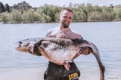 Kliknutím fotografii zvětšíte Sumec z Caspe