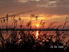 Kliknutím fotografii zvětšíte na rybách je krásně