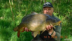Kliknutím fotografii zvětšíte Změna místa-10kg